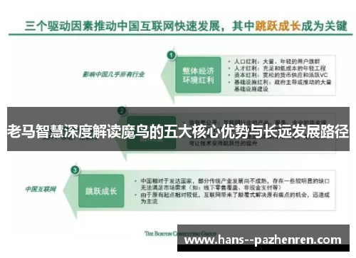 老马智慧深度解读魔鸟的五大核心优势与长远发展路径 老马智慧深度解读魔鸟的五大核心优势与长远发展路径